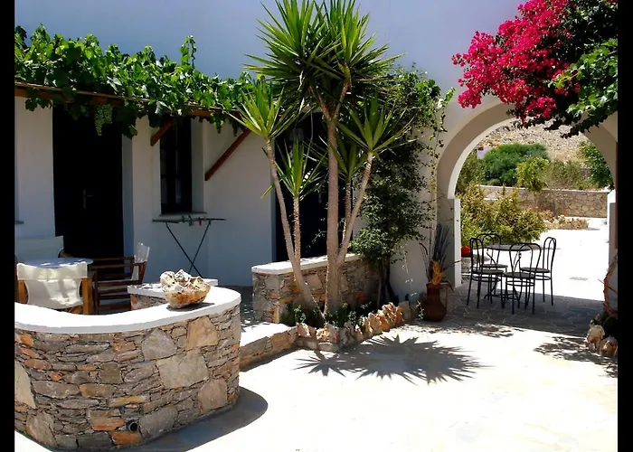 Coral * كارافوستاسيس