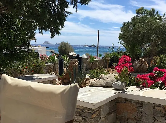 Coral * كارافوستاسيس